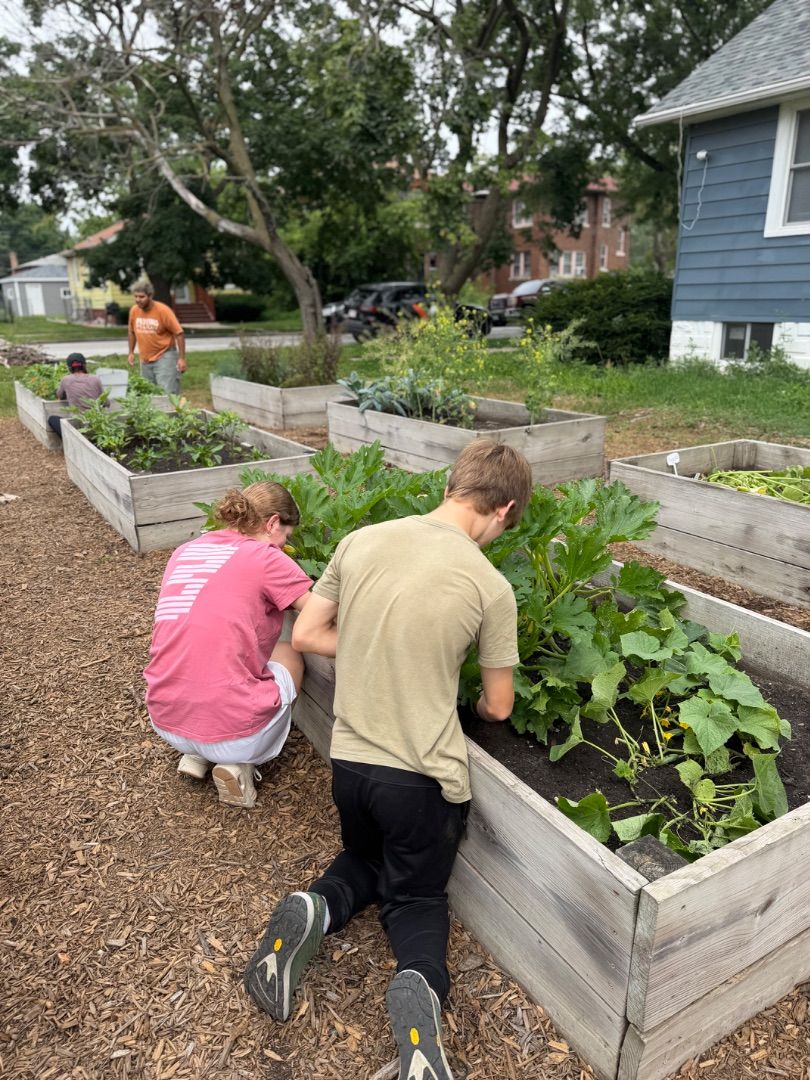 Gardening