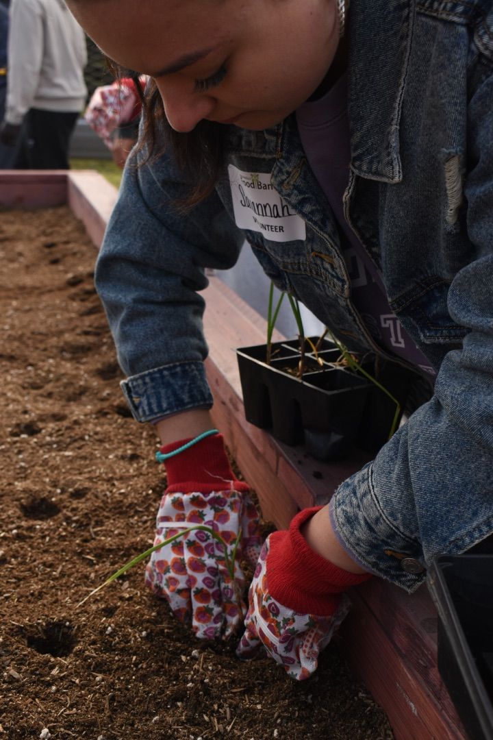 Planting with Purpose