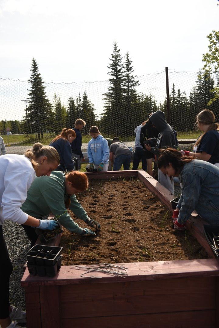 Hands in the Soil