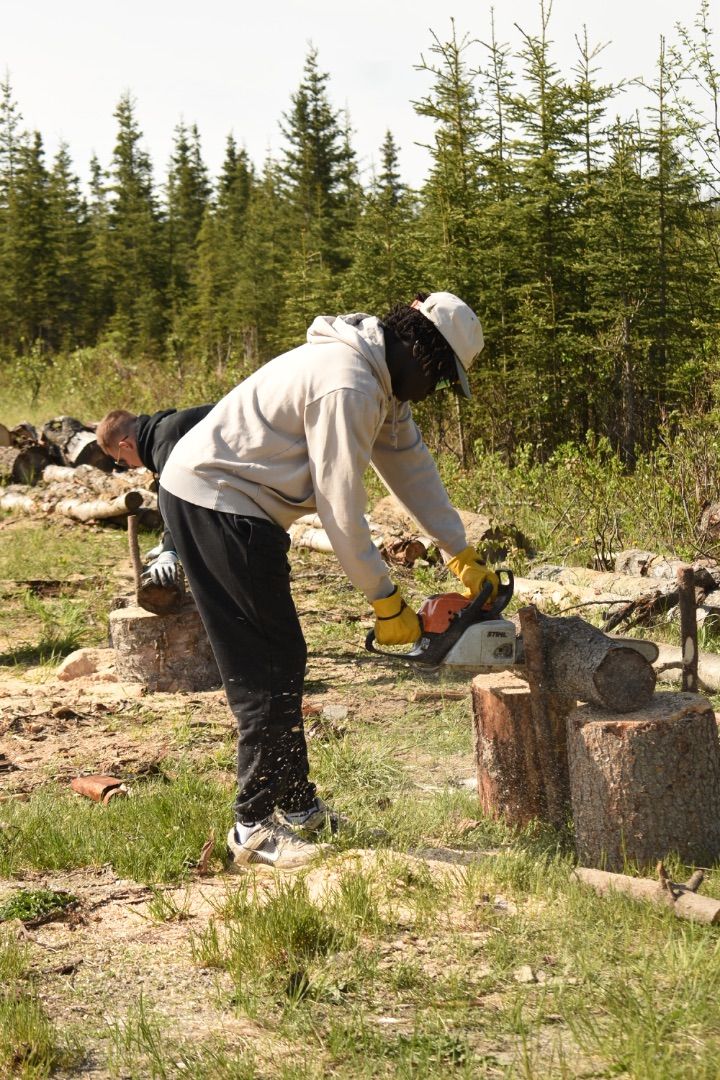 Cutting Wood!