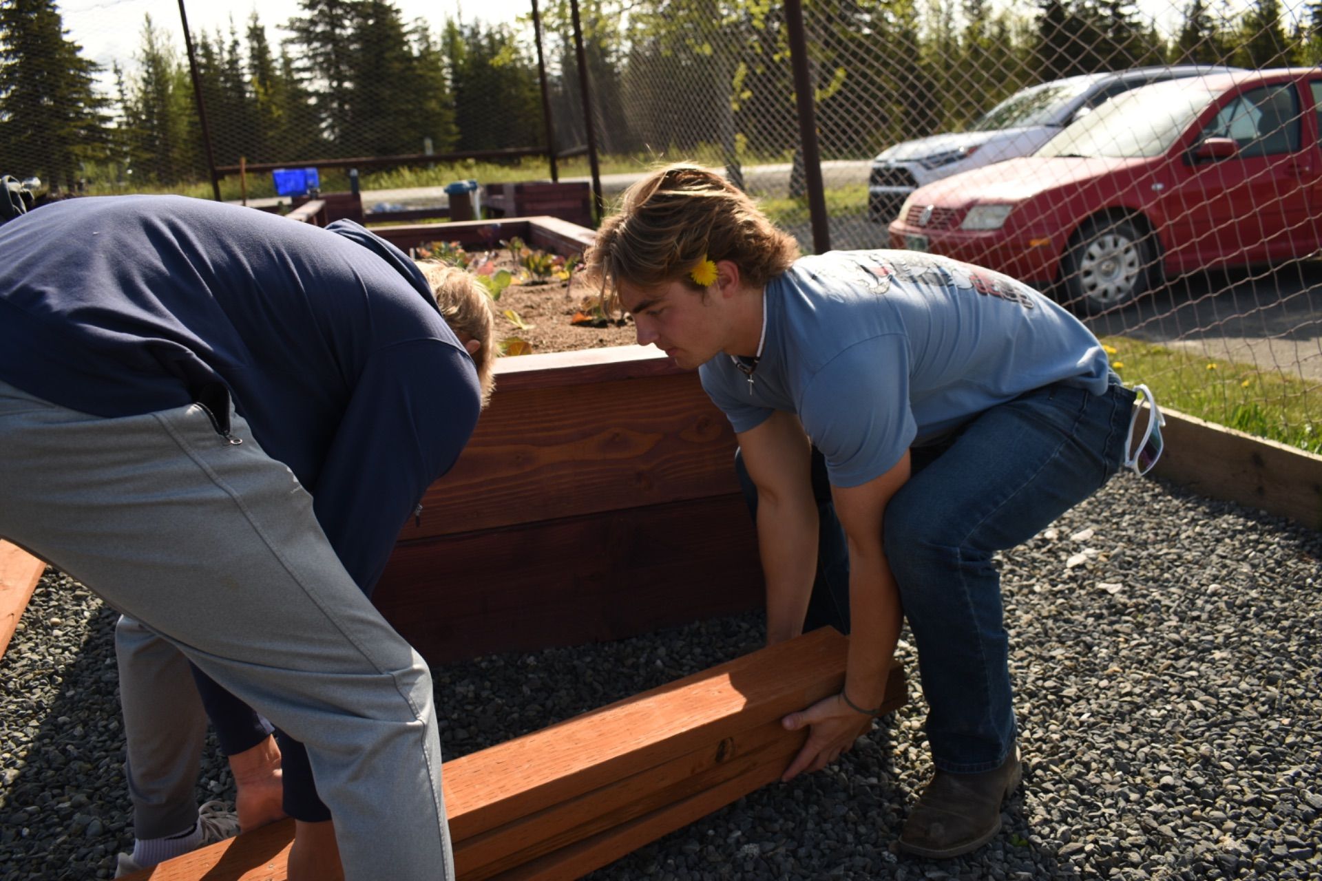 Helping Hands