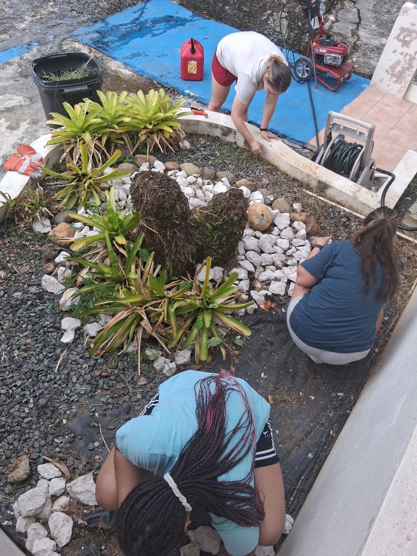 Gardening