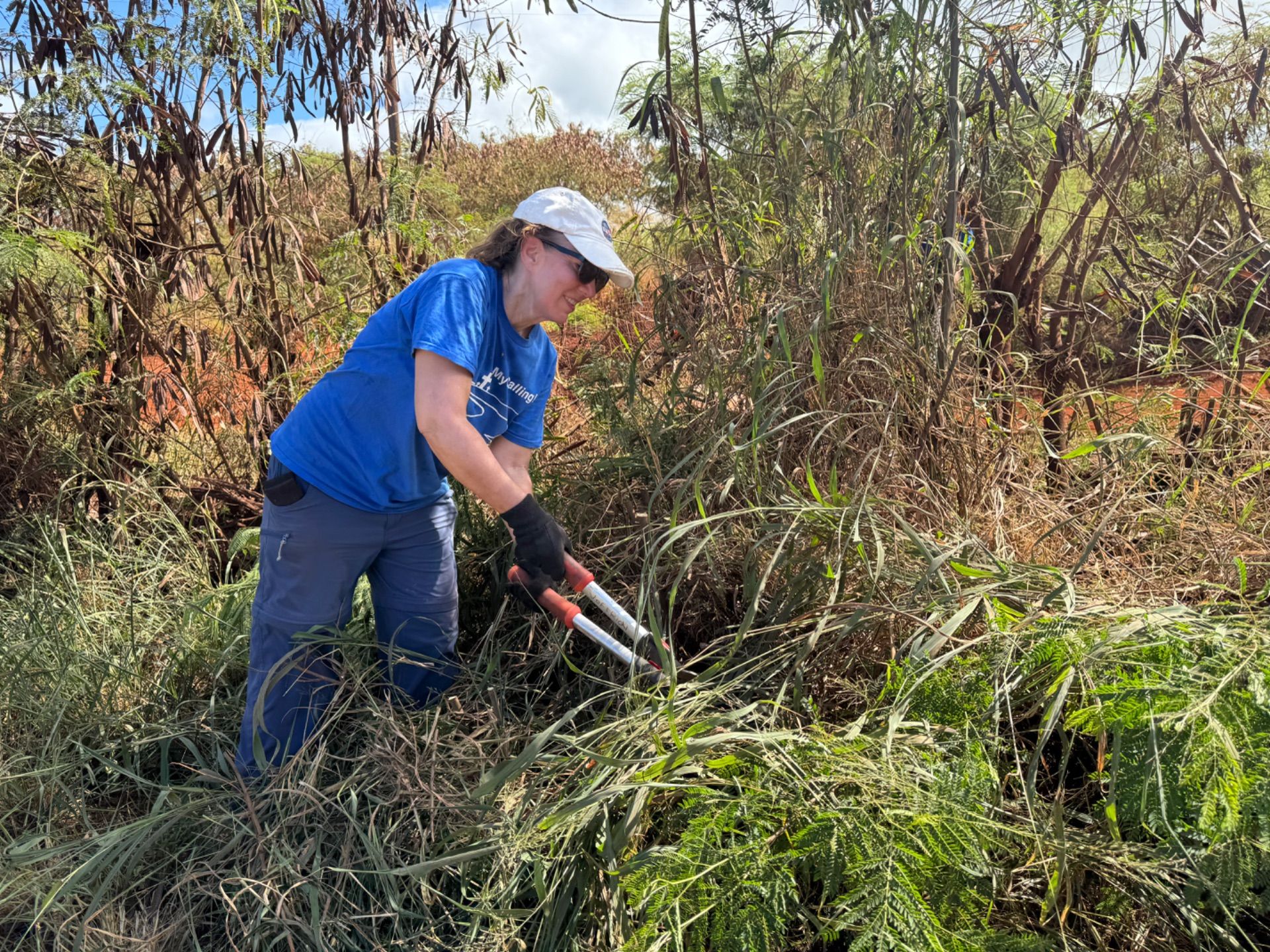 Clearing Out Weeds