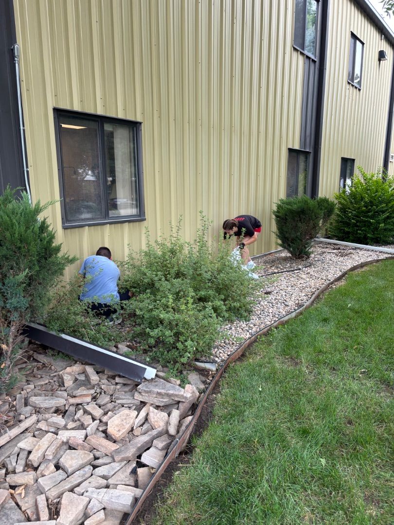 Pulling Weeds