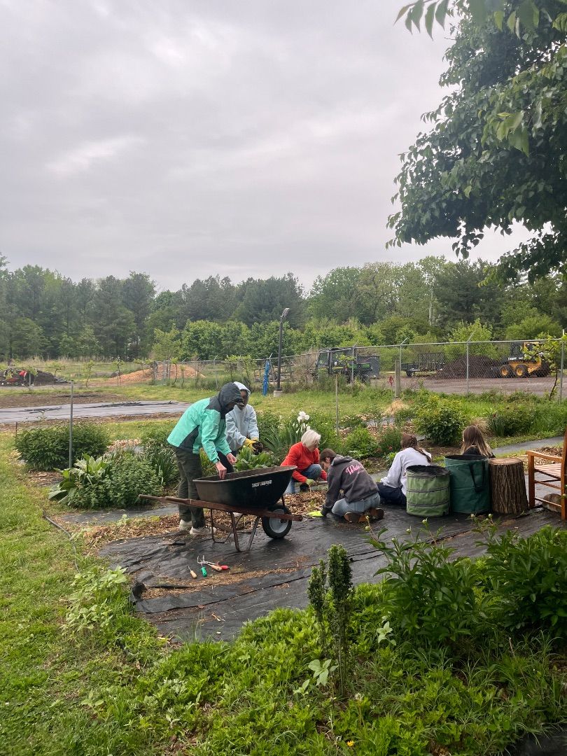 Gardening at the Franciscan Monastery 