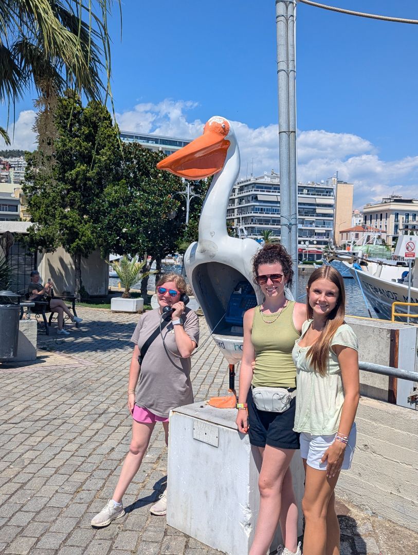 Praying Pelicans