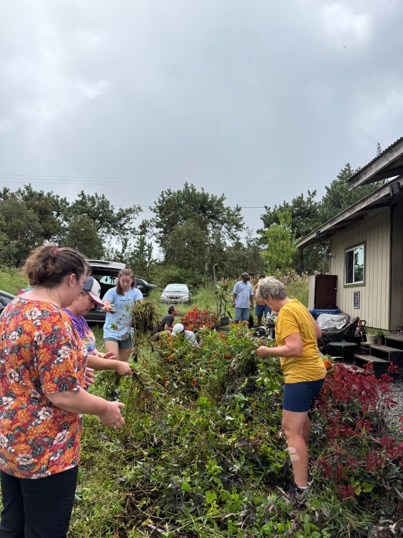 Cleaning Up Weeds
