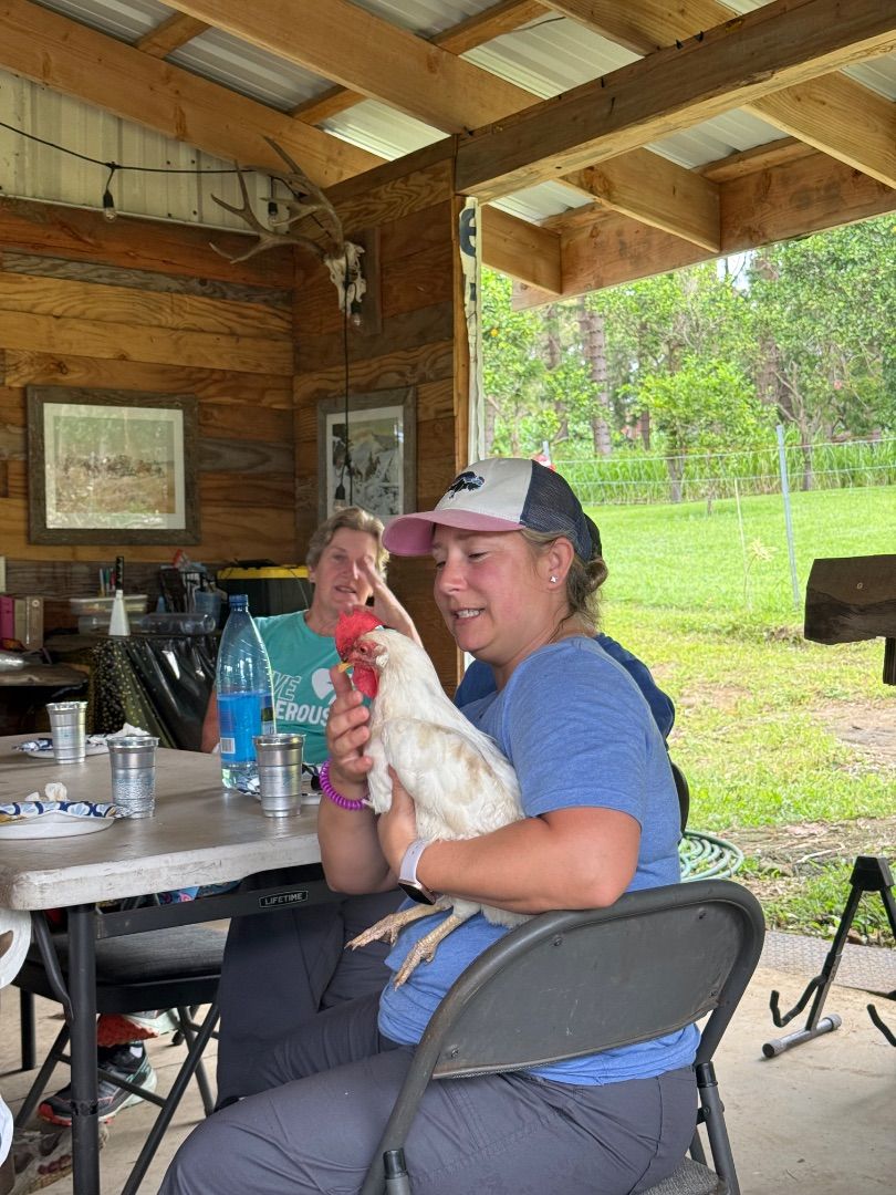 Chicks and Taco Lunch