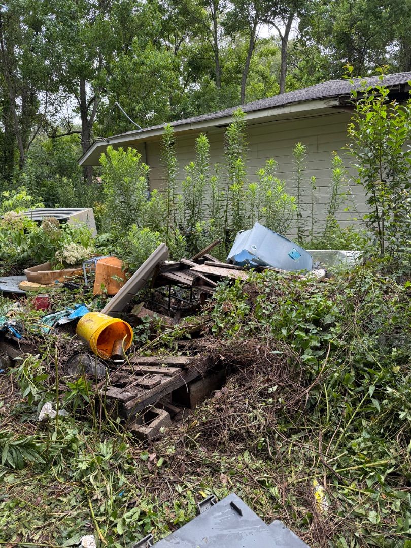 The Back Yard