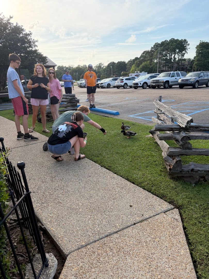 Fun with Ducks