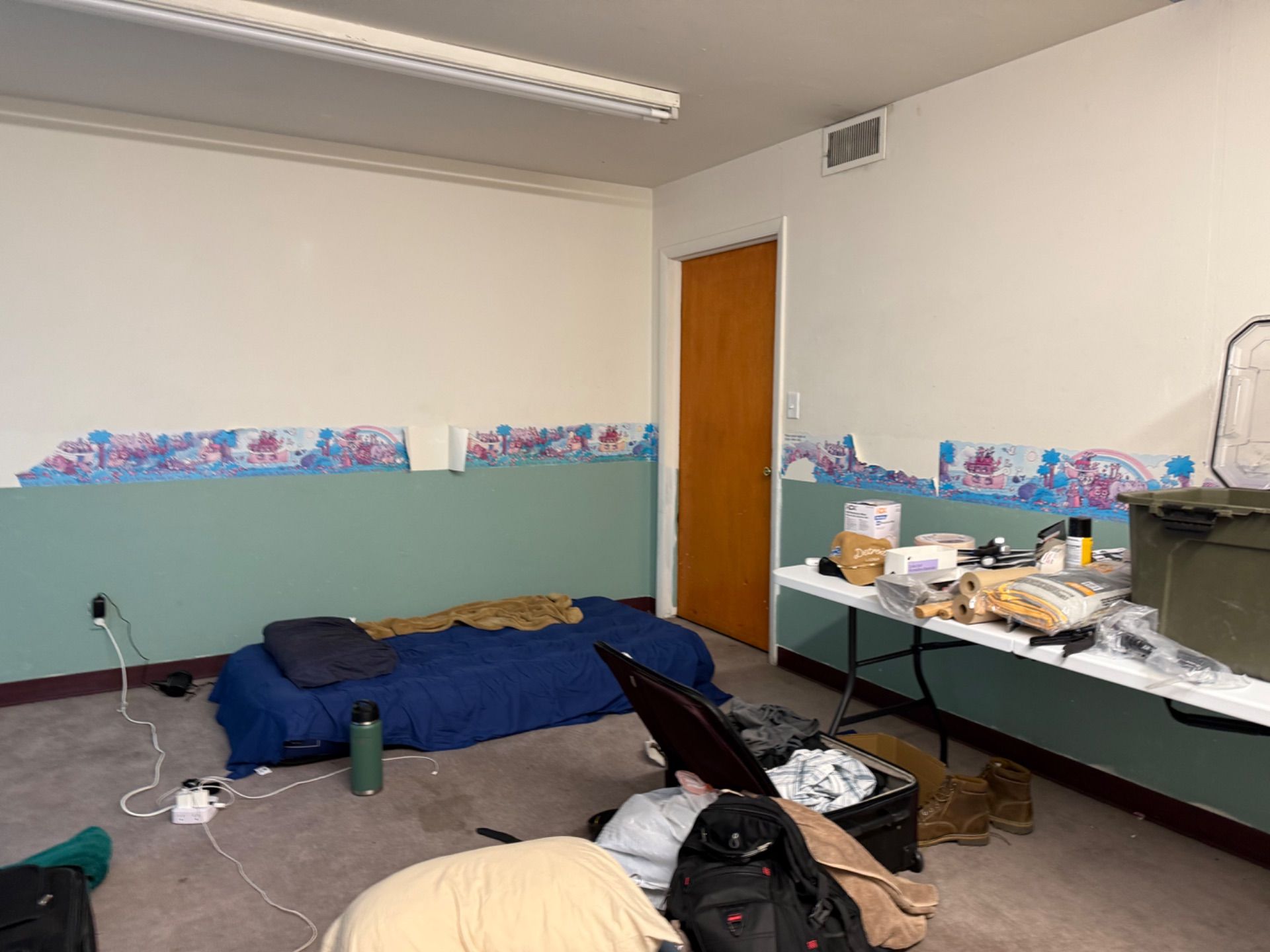 Nursery Renovation 