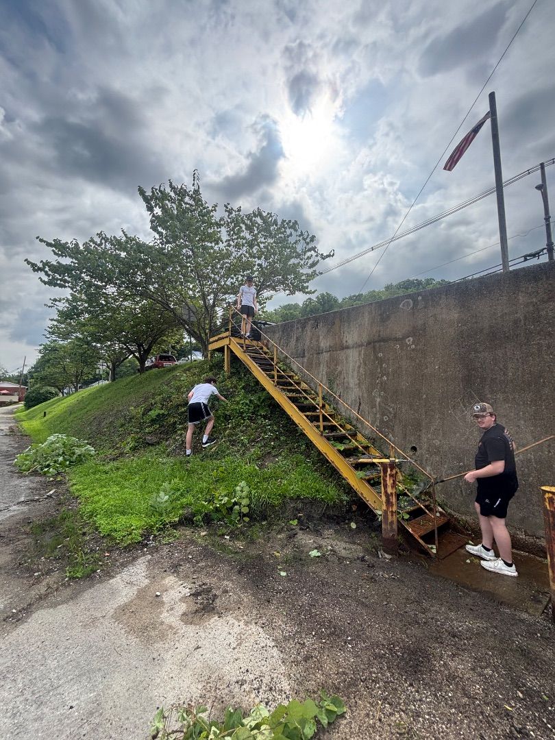 Landscaping 